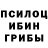 Галлюциногенные грибы GOLDEN TEACHER Marianne Vlaskovska