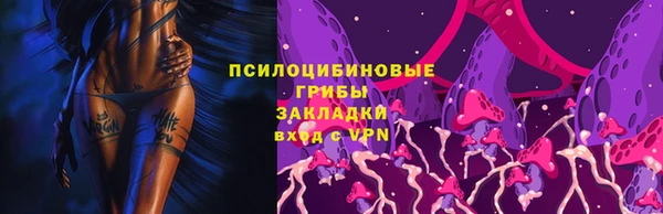 трава Богородицк