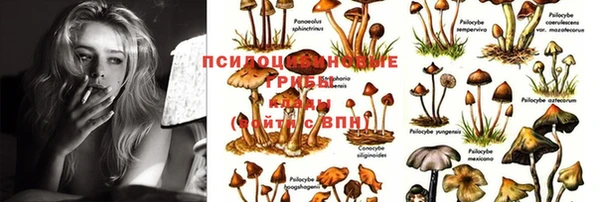mdma Белокуриха
