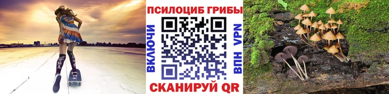 купить  сайты  Вельск  Псилоцибиновые грибы ЛСД 